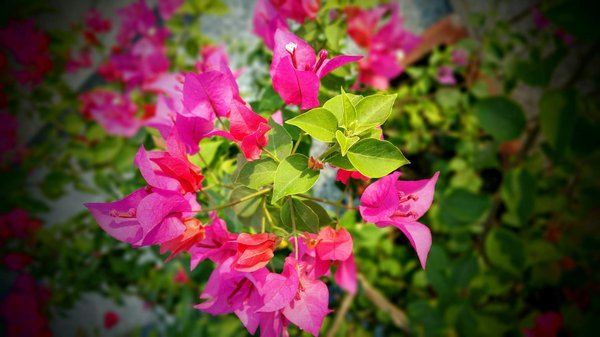 Comment accélérer la vente de votre maison