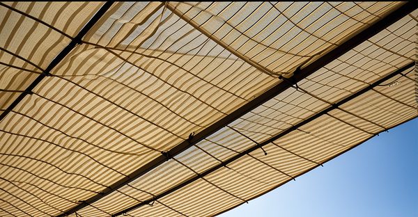 Découvrez les voiles d'ombrage : styles pour tous les goûts !